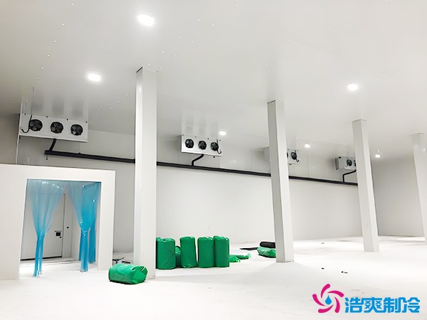 建造萬噸級大型冷庫造價大概多少錢？萬噸冷庫造價影響因素