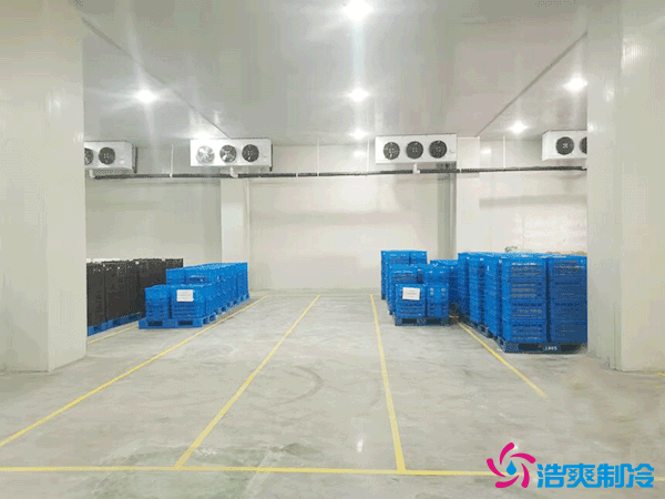建造萬噸級大型冷庫造價大概多少錢？萬噸冷庫造價影響因素