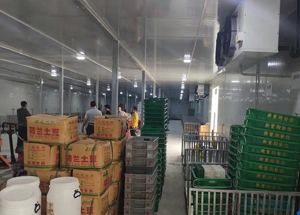 2000平米土豆冷庫竟要200多萬？揭秘氣調(diào)保鮮庫天價背后！